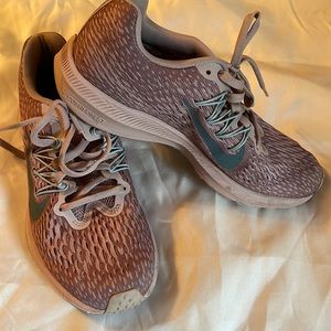 Nike Winflo 5 Shoes